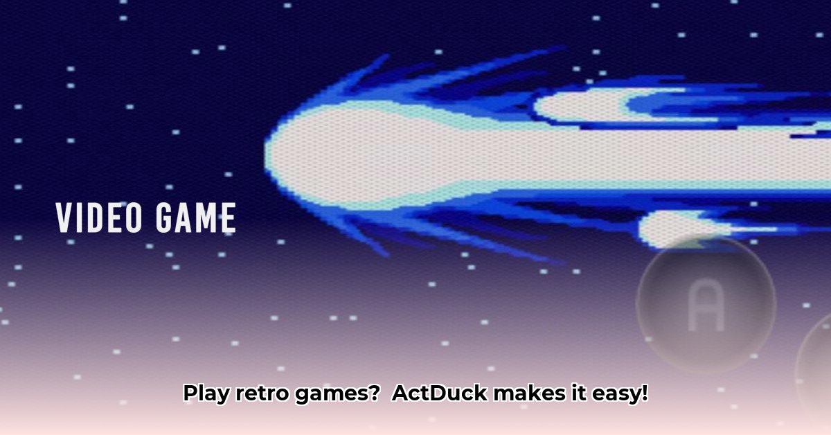 actduck-video-game
